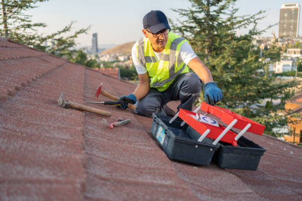 Best Historical Building Siding Restoration  in Center Hill, FL